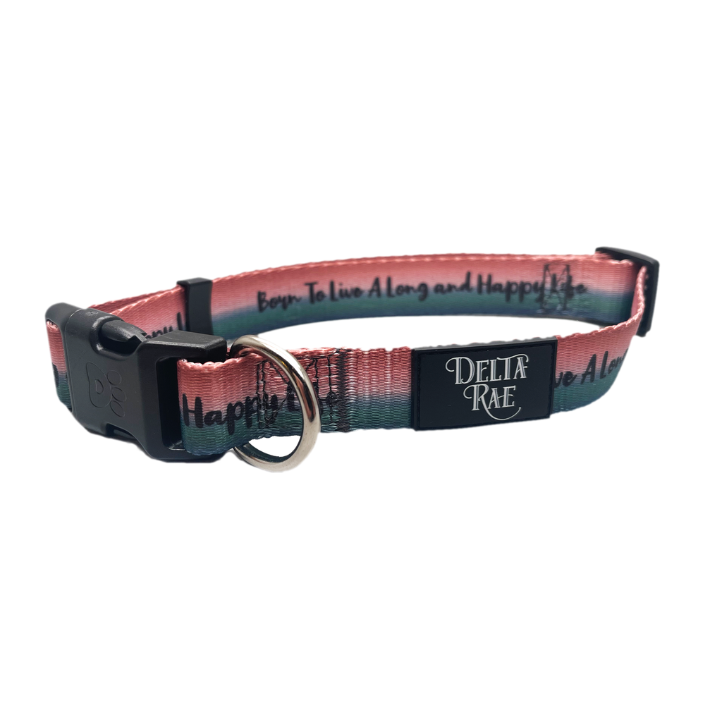 Born to Live a Long and Happy Life Dog Collar