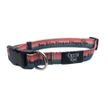 Born to Live a Long and Happy Life Dog Collar