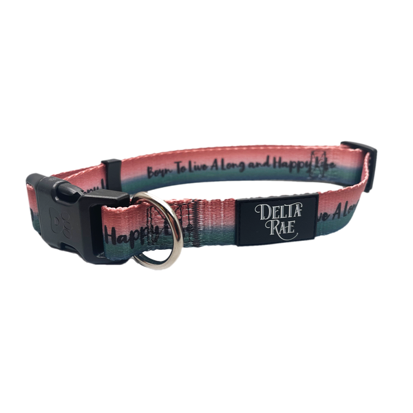 Born to Live a Long and Happy Life Dog Collar