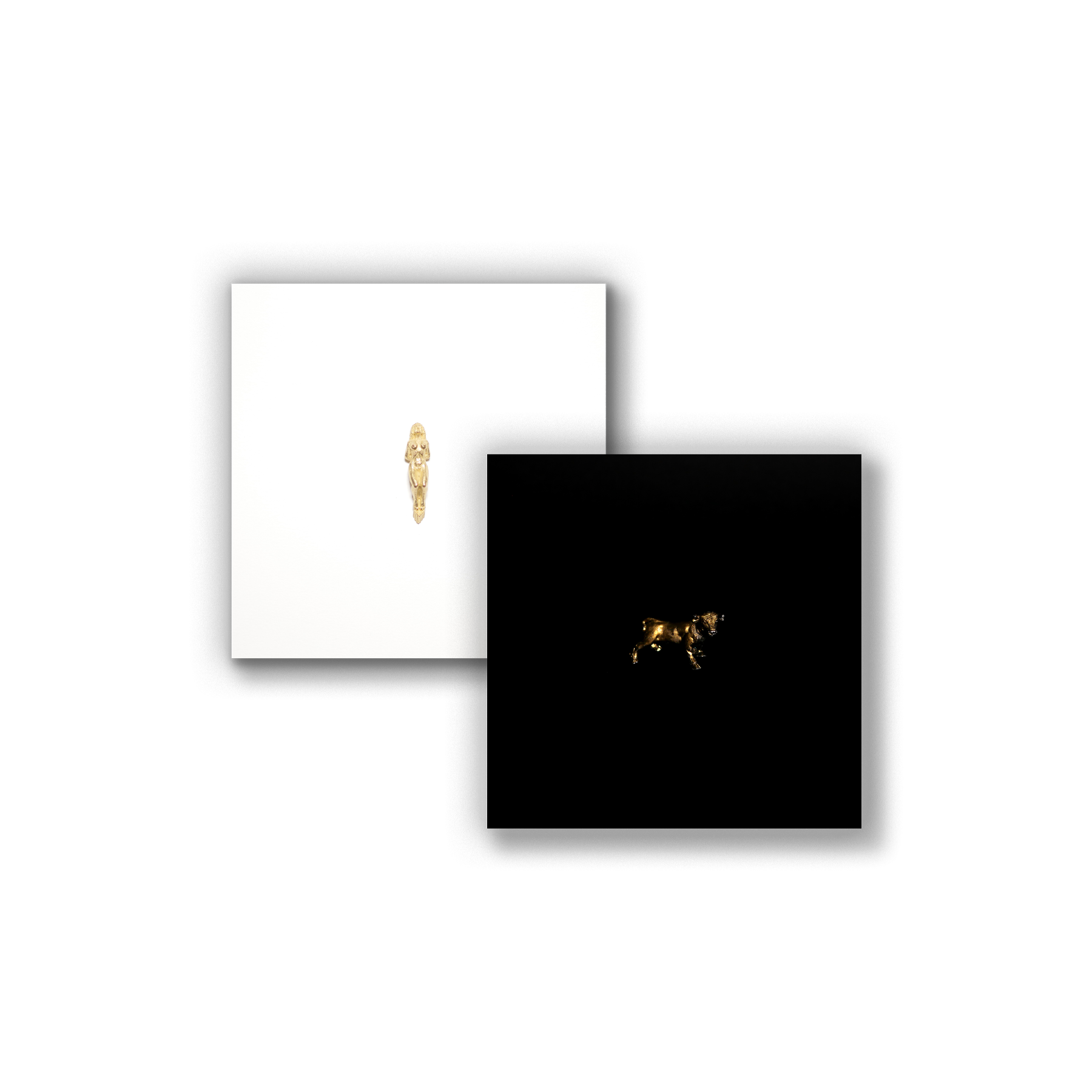 The Light + The Dark - Digital Album Download